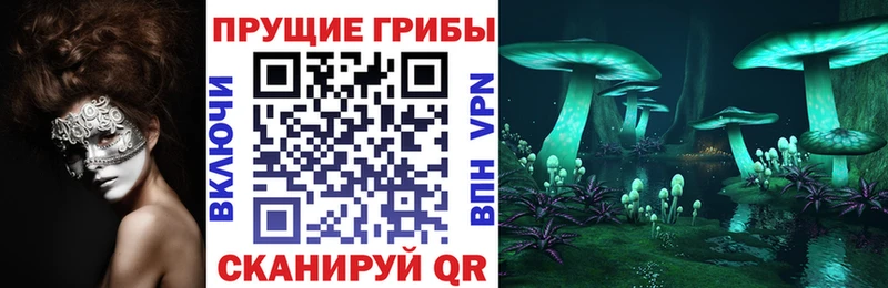Псилоцибиновые грибы Cubensis  mega онион  Волосово  магазин продажи  